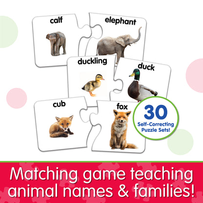 Infographic about Match It - Animal Family that says, "Matching game teaching animal names and families!"