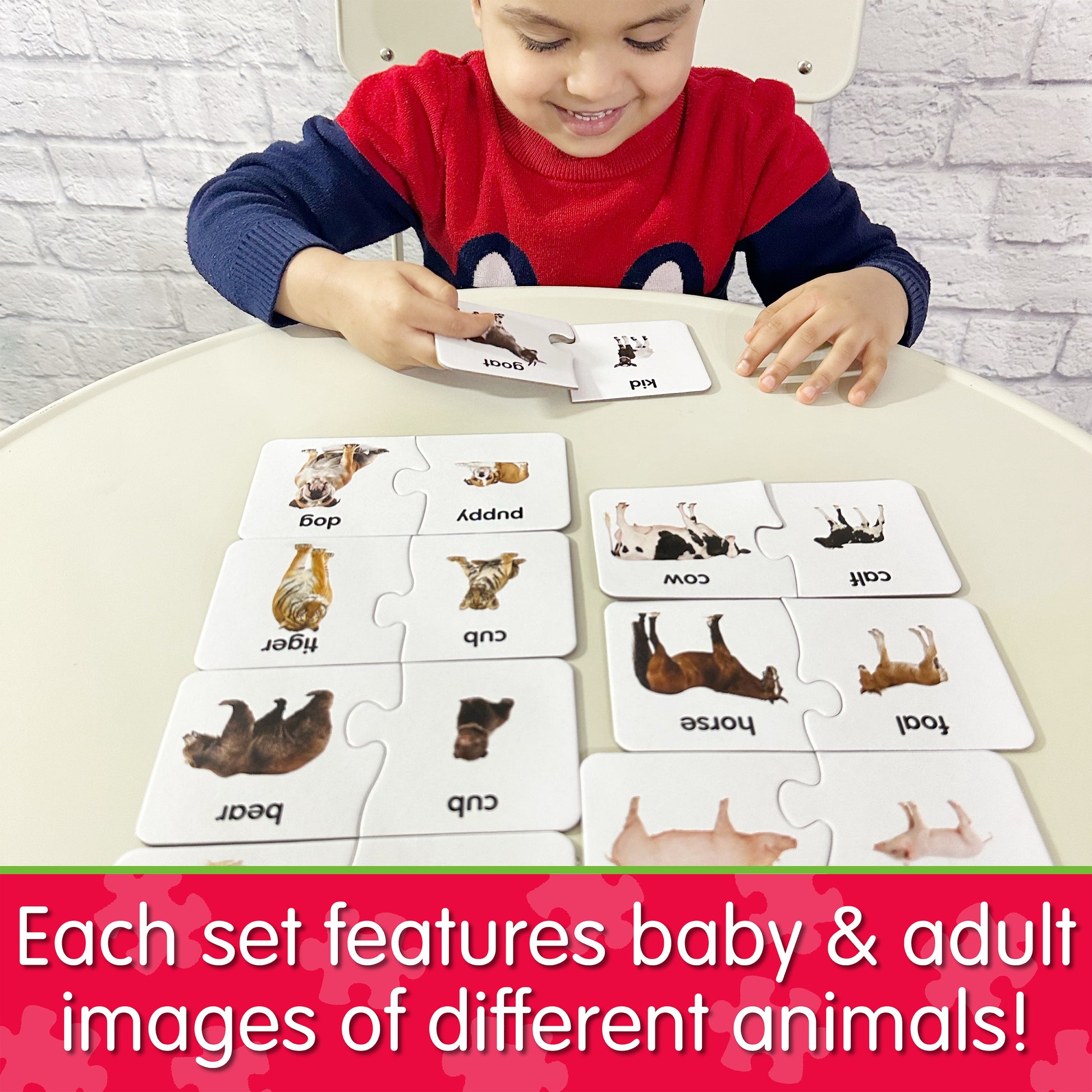 Infographic of young boy playing Match It - Animal Families that says, "Each set features baby and adult images of different animals!"