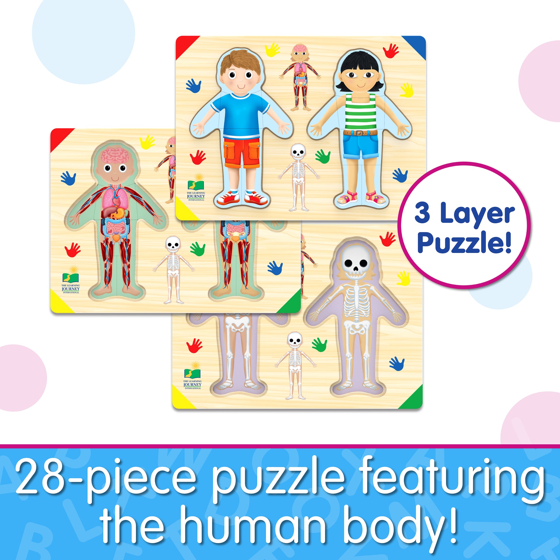 Infographic of Lift and Learn Inside of Me Puzzle that reads, "28-piece puzzle featuring the human body!"