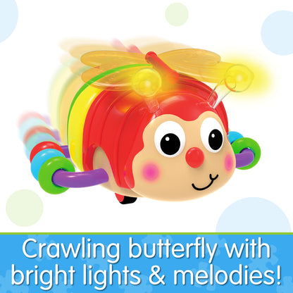 Infographic of Crawl About Butterfly that reads "Crawling butterfly with bright lights and melodies!"