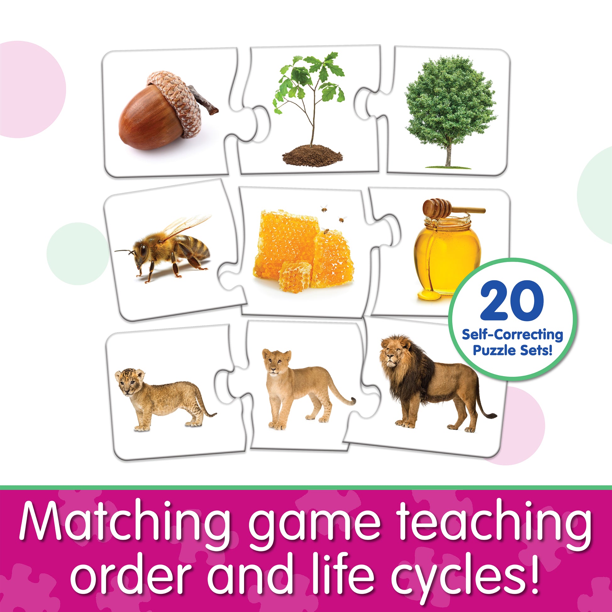 Infographic about Match It - Sequencing that says, "Matching game teaching order and life cycles!"