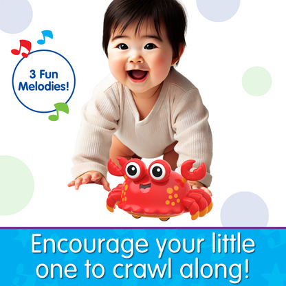 Crawl About Crab (NEW)