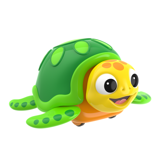 Crawl About Sea Turtle (NEW)