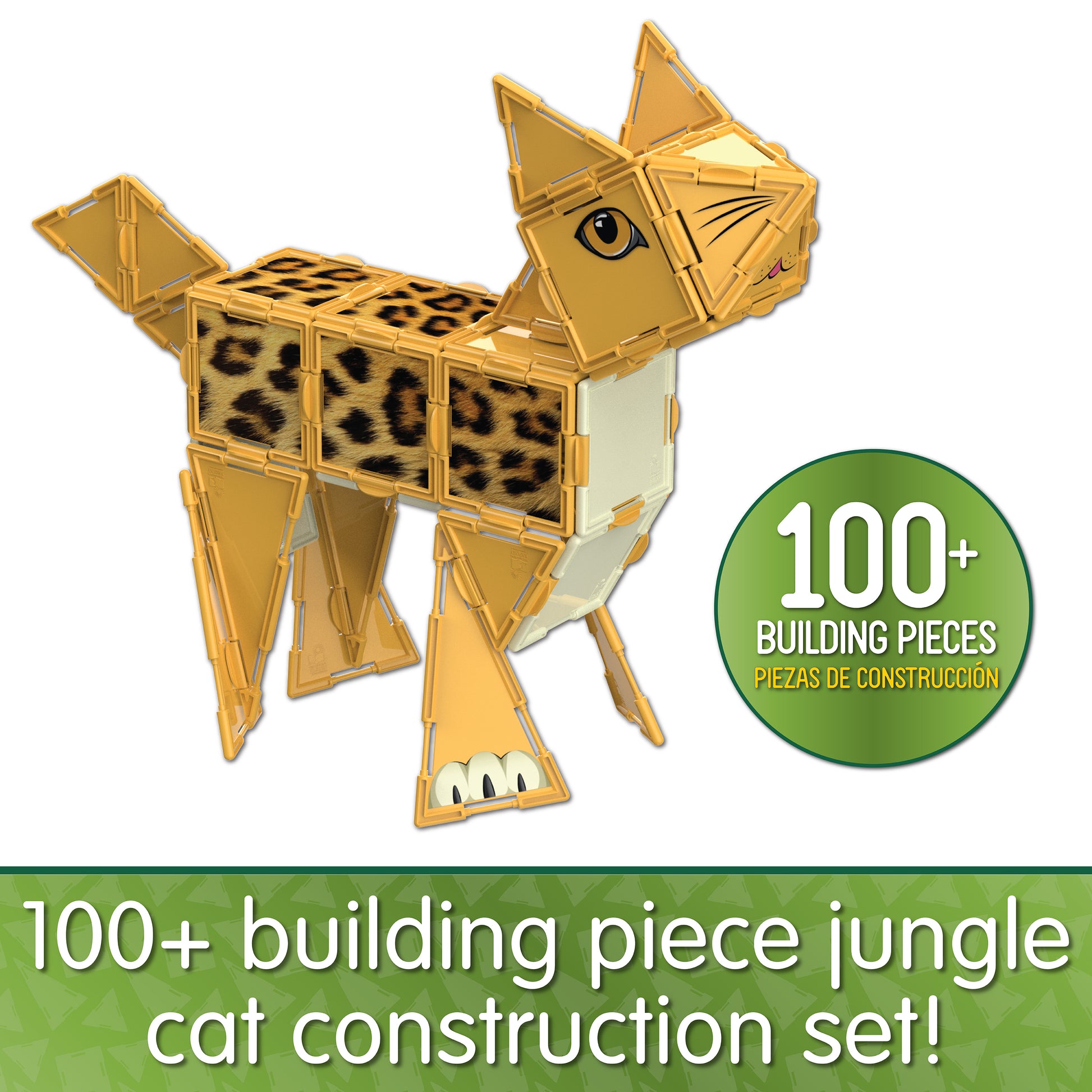 Infographic about Jungle Cat